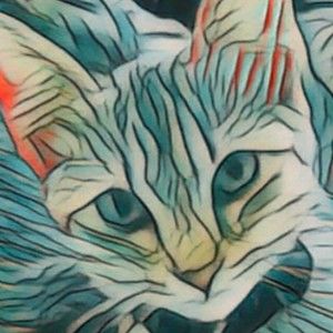 Meet your Posher, Serena